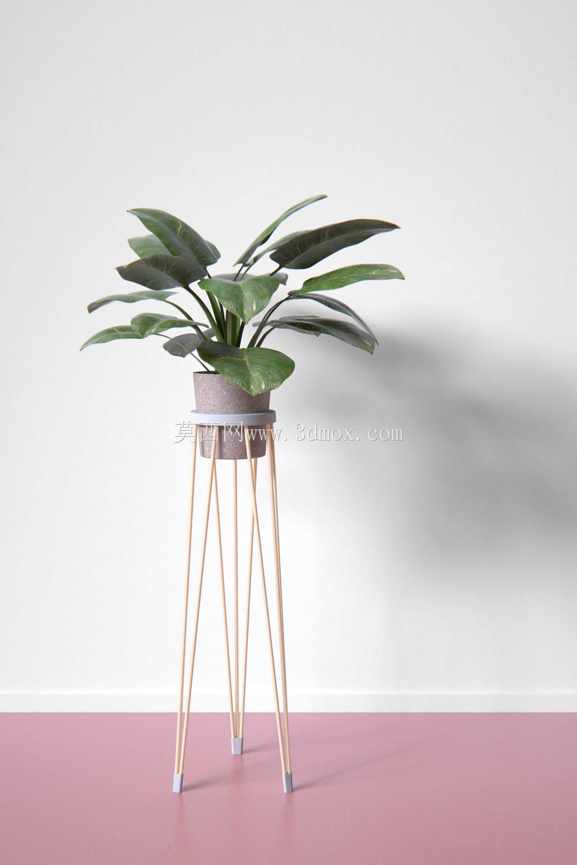 3D打印植物架