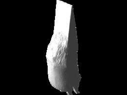 èצ