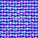 ���� NX500 2024
