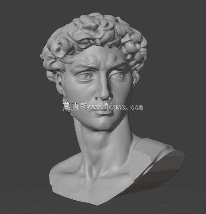 El David deMiguelángel(Busto)