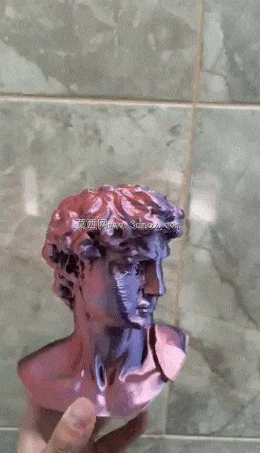 El David deMiguelángel(Busto)