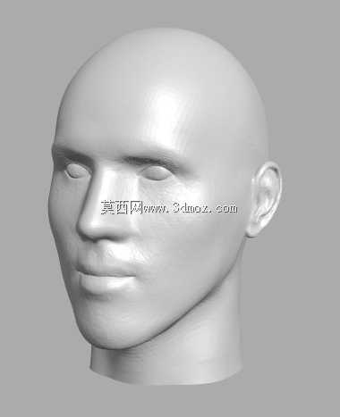 Junger Mann Kopf | Youngman Head