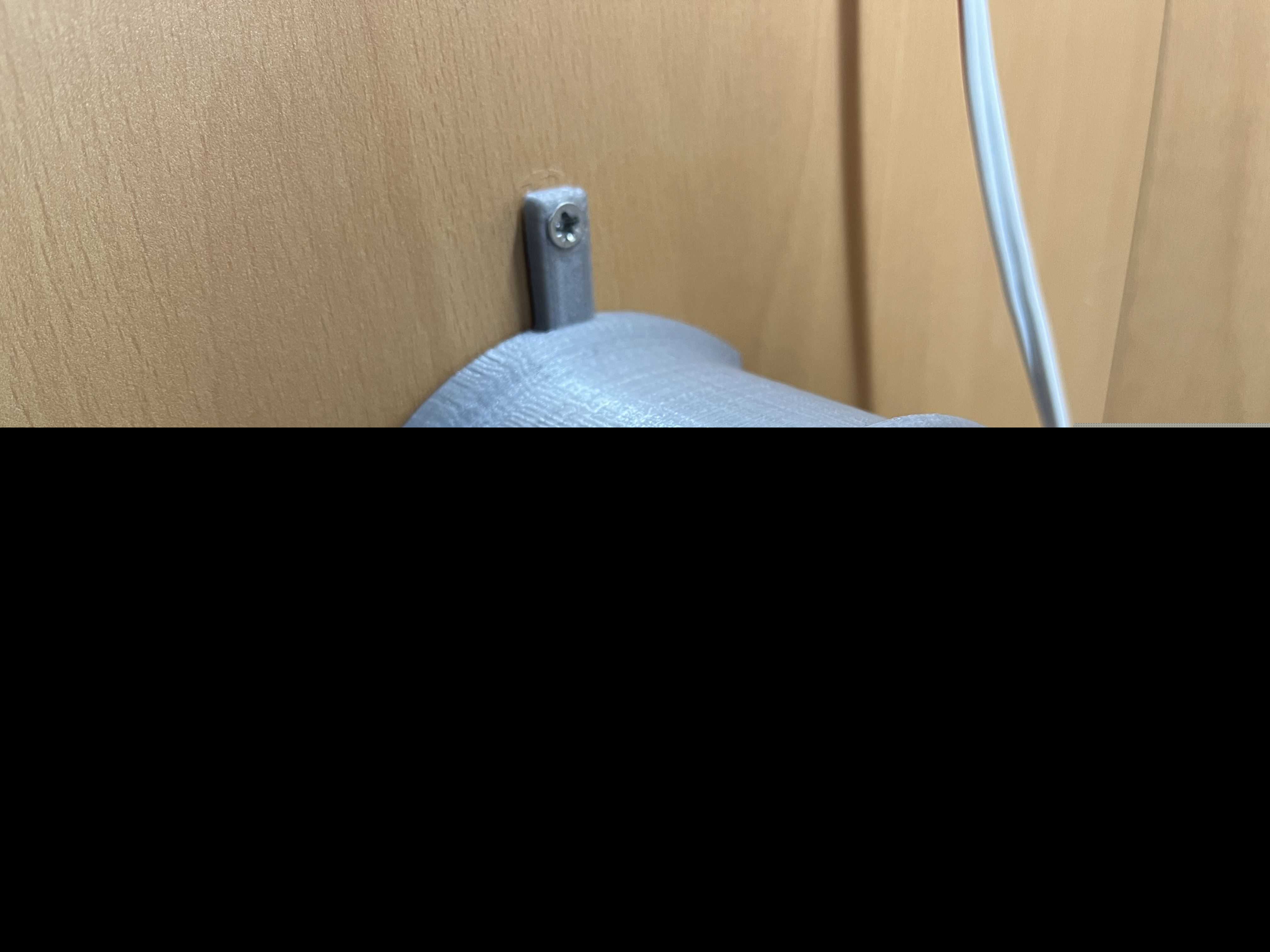 耳机持有人