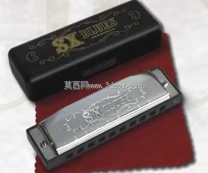 SX Blues Hamonica D关键身体部位