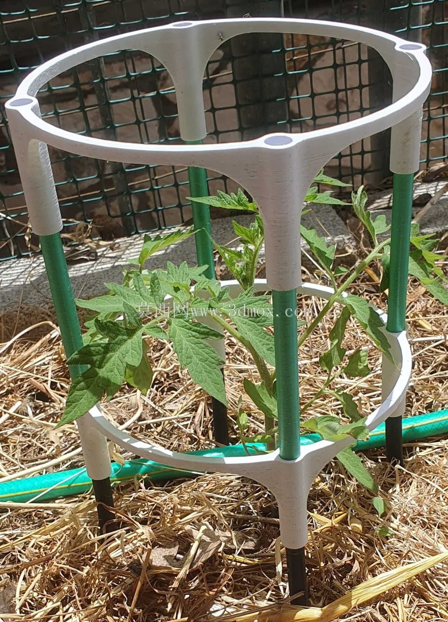 花园种植笼(无需支撑)