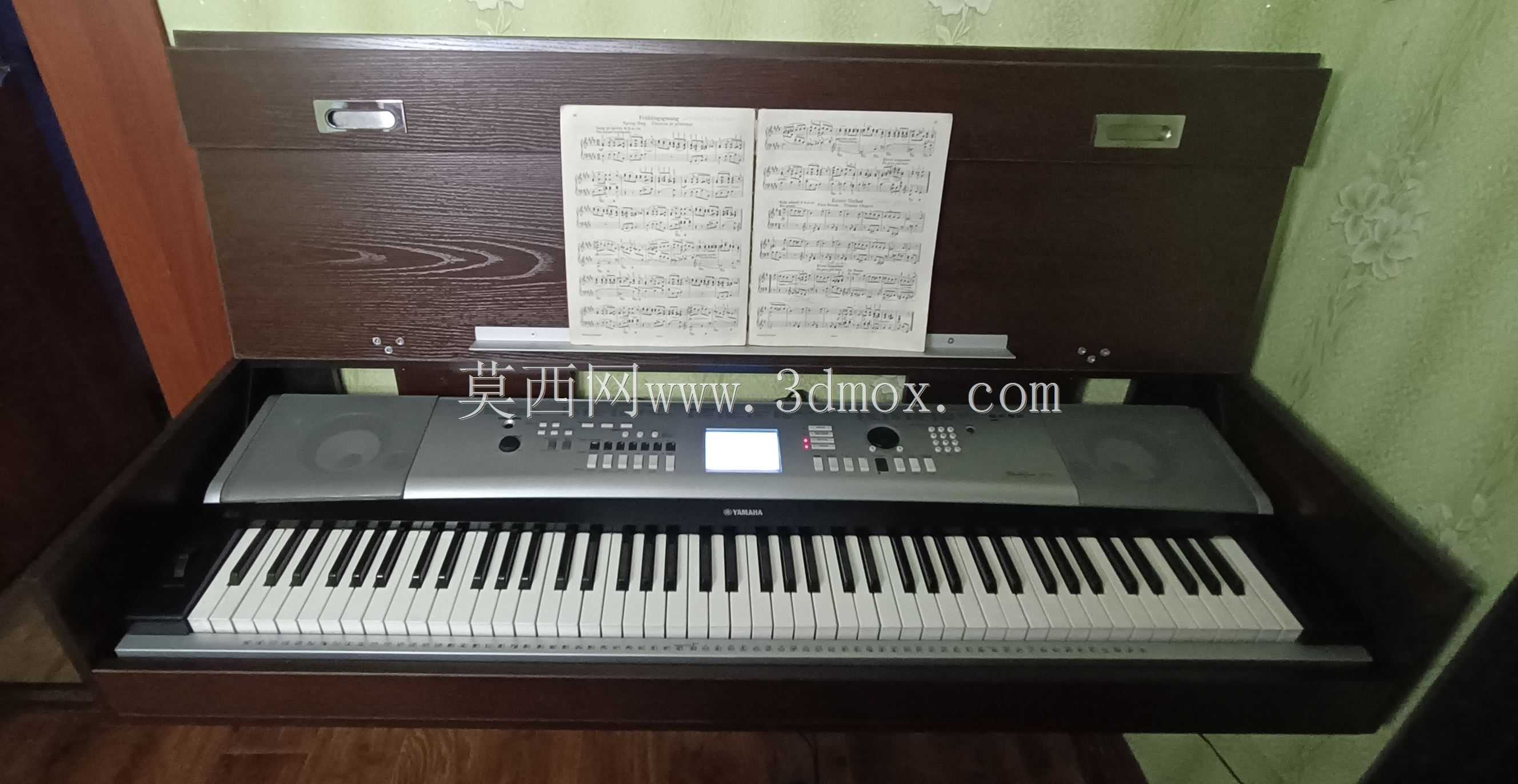 �����ڵ��Ӹ��� Yamaha DGX-530 �ĸ�������