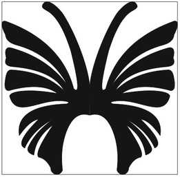  buttertfly���