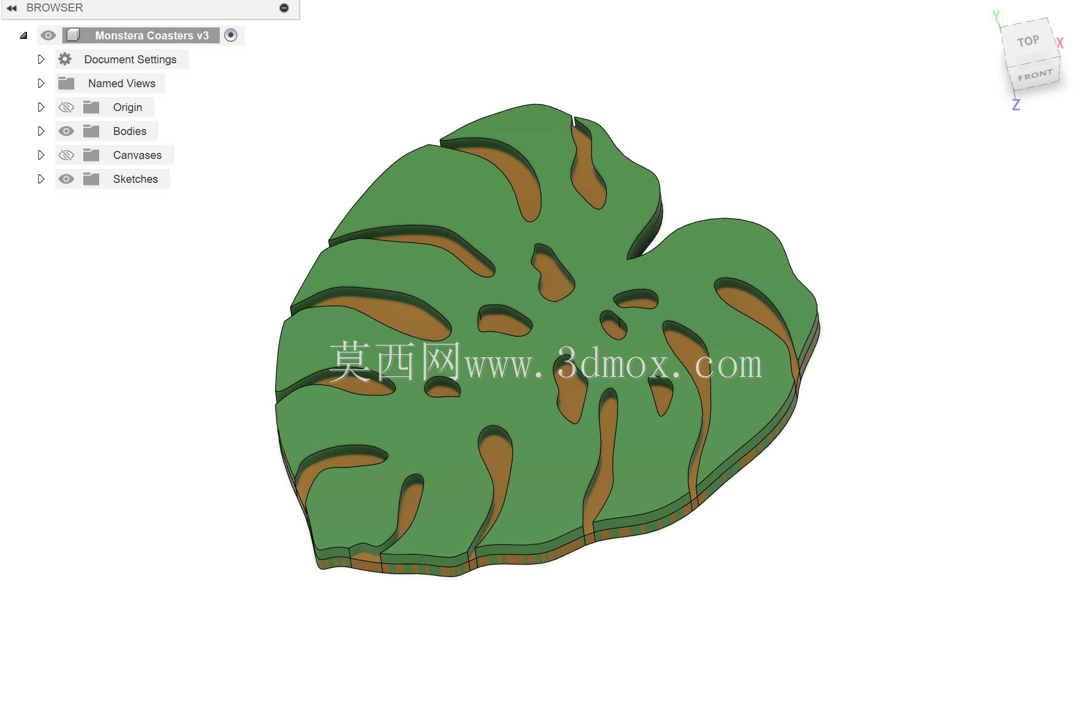 monstera coaster