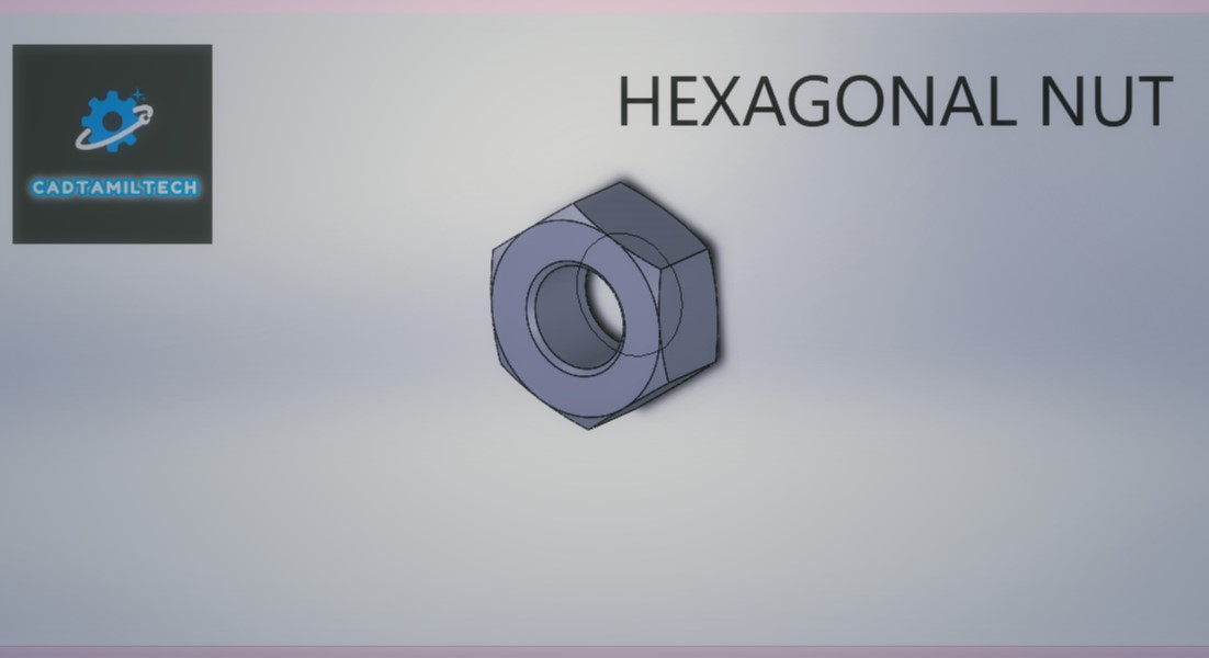 ������ĸ