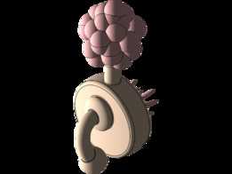  Plumbus 