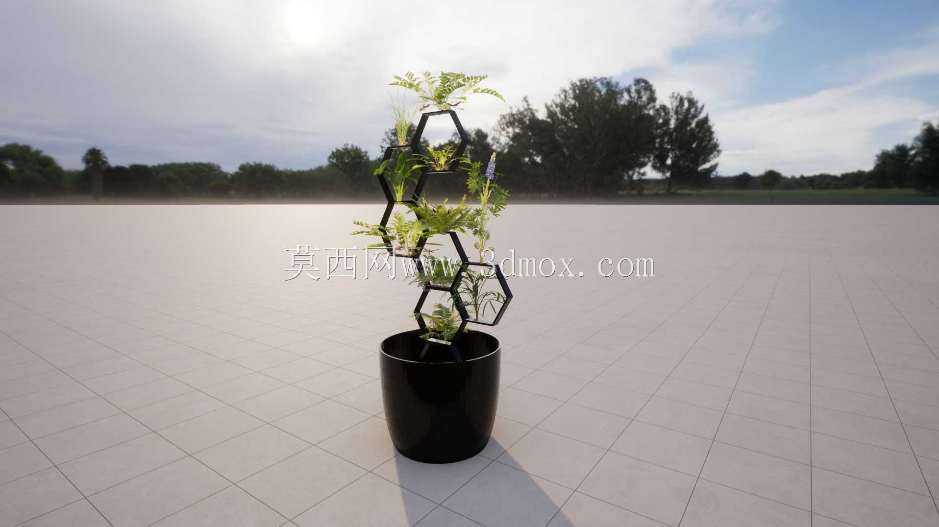 蜜蜂的花瓶