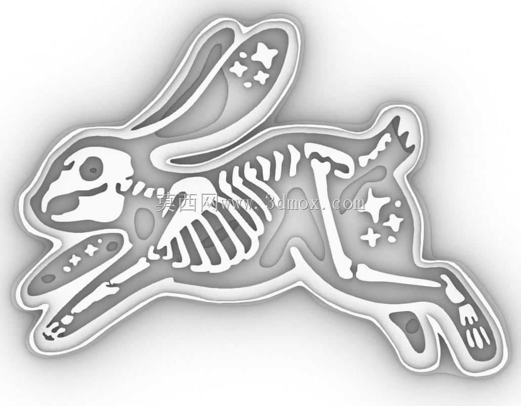 Ů���׼�1 cookie Cutter 