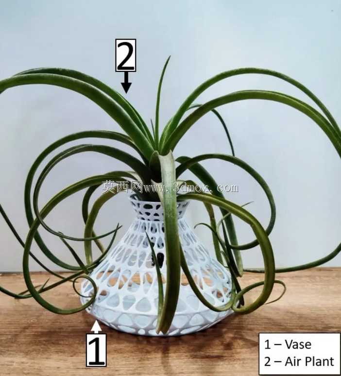 <p>空气植物持有人 /花瓶< / p>