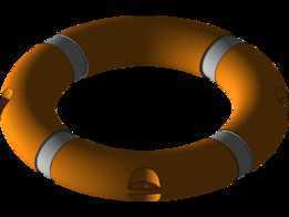  lifebuoy 