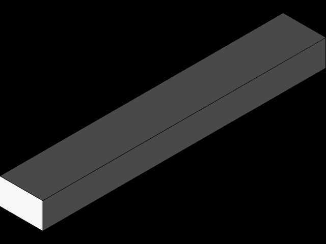 主体决定