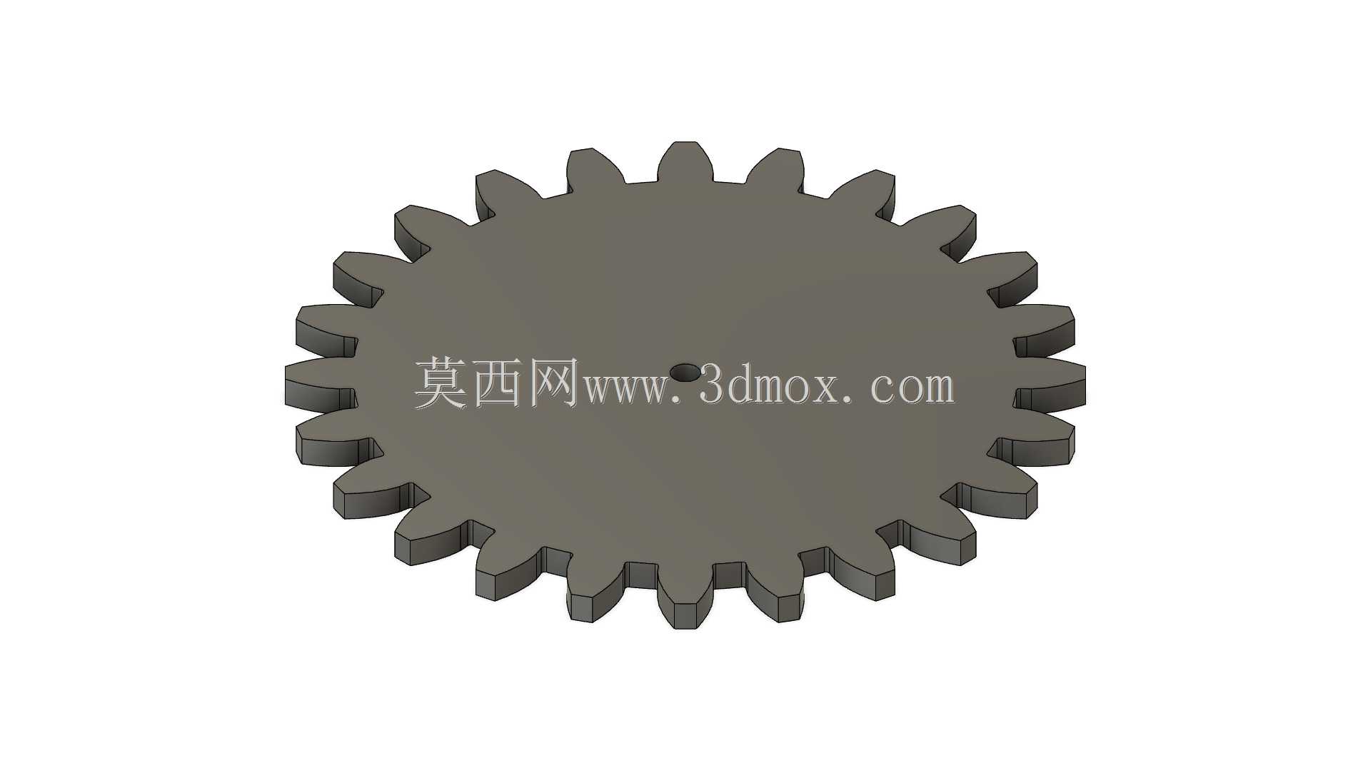 Spur Gear
