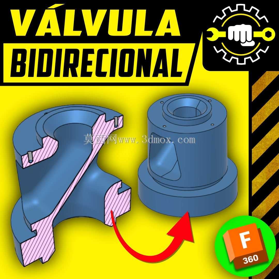 #117 V��lvula ˫�� |�ں�|������Ŀ