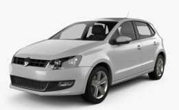 ���� POLO �Ʊ���