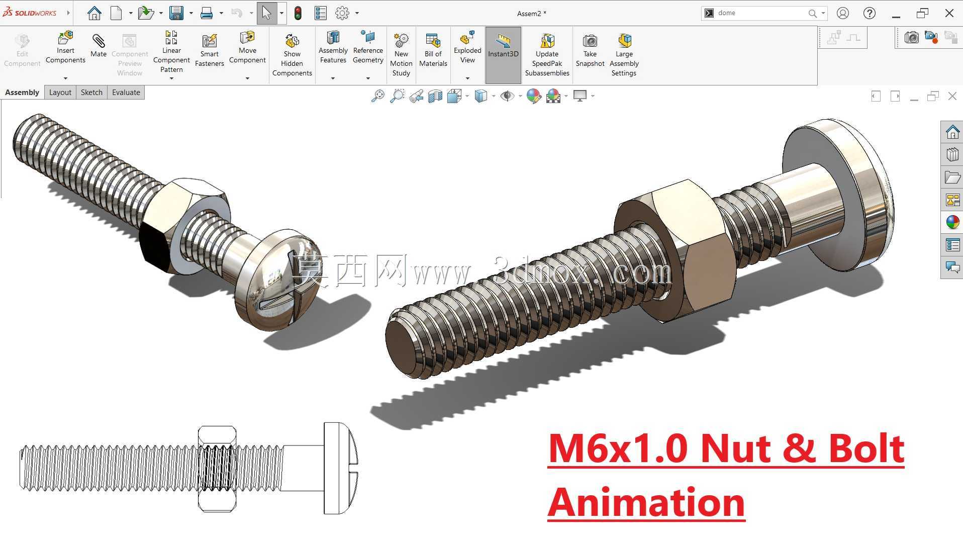M6 x 1.0 螺母和螺栓