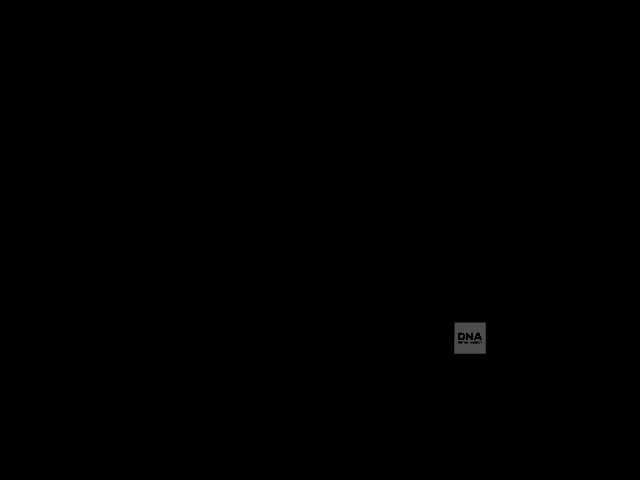 �ư� 2