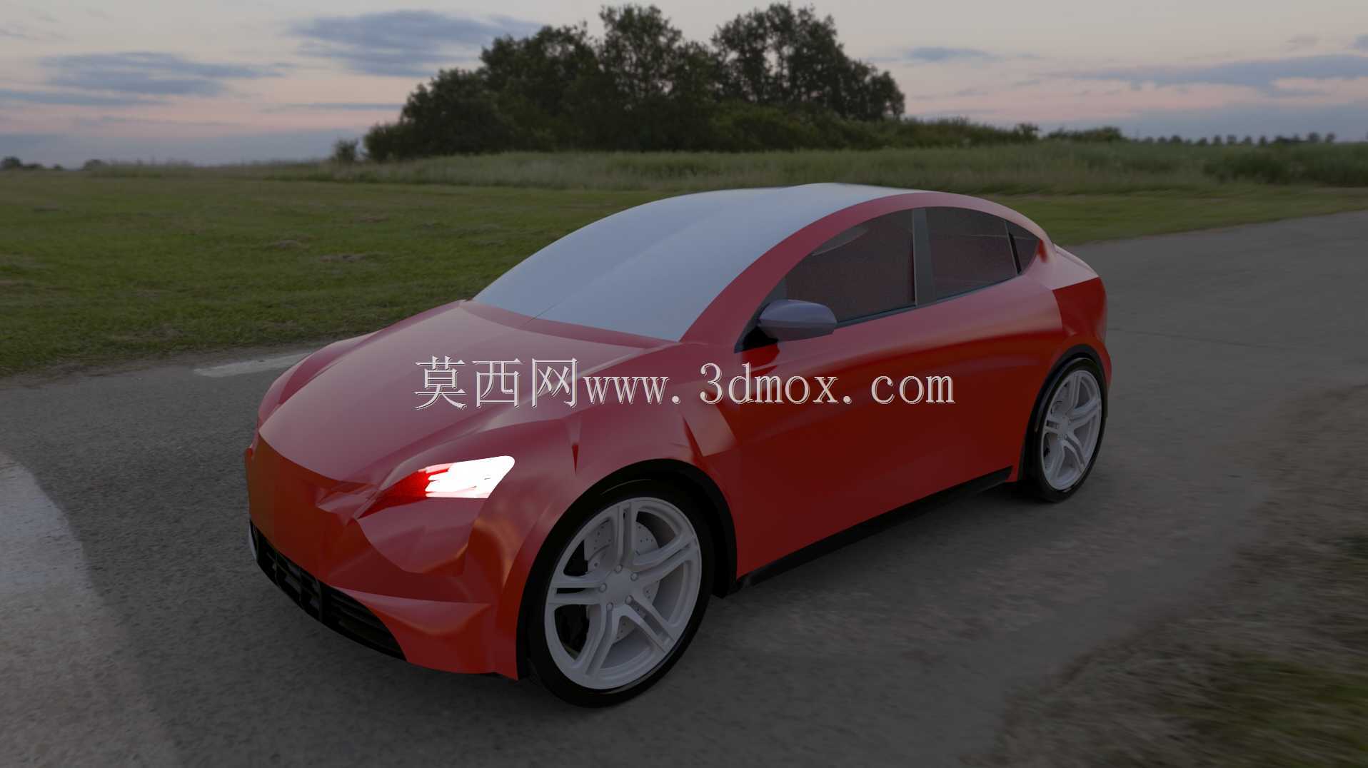 ��˹�� Model Y