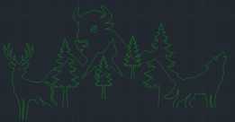 Forrest ���ڼ����и�