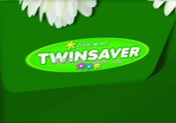 Twinsavers 纸巾盒