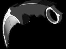CS��GO Karambit��