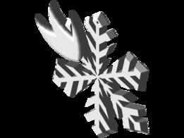 ȼ�յ�ѩ