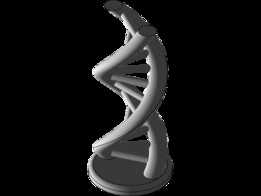 dna_֧��