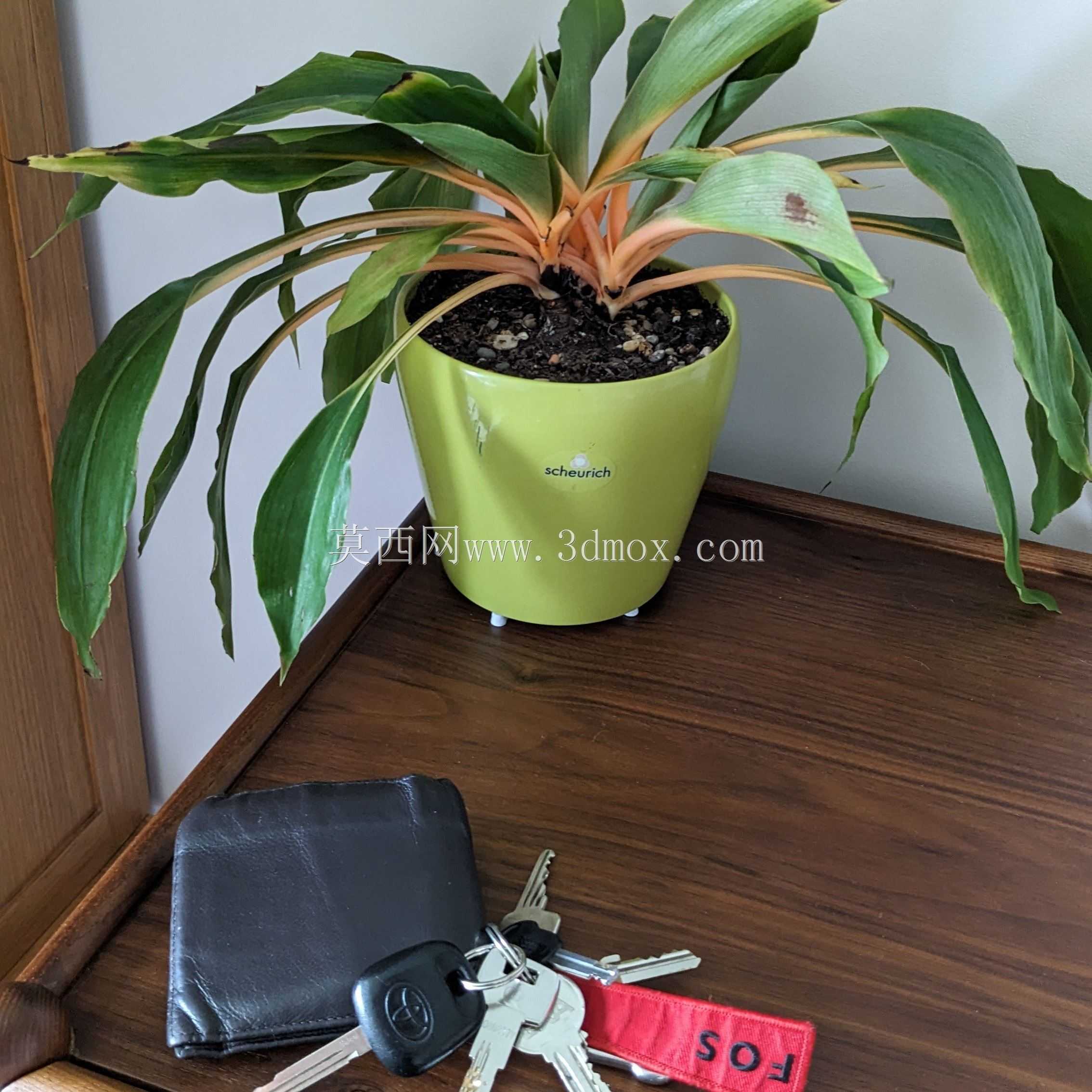 植物垫 - 集水盘