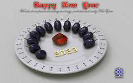 2023��������֣���