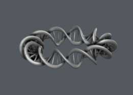 DNA��