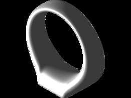 ��ָ