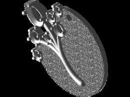p001