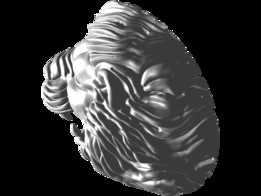 ʨ�Ӱ���