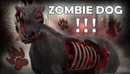 ��ʬ���� - Zombi K?p