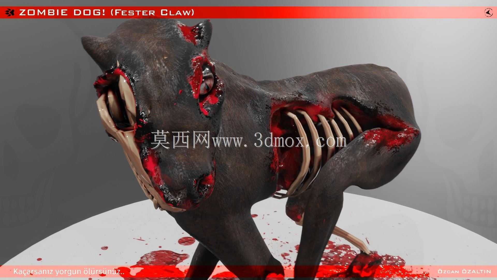 僵尸狗! - Zombi K?pek