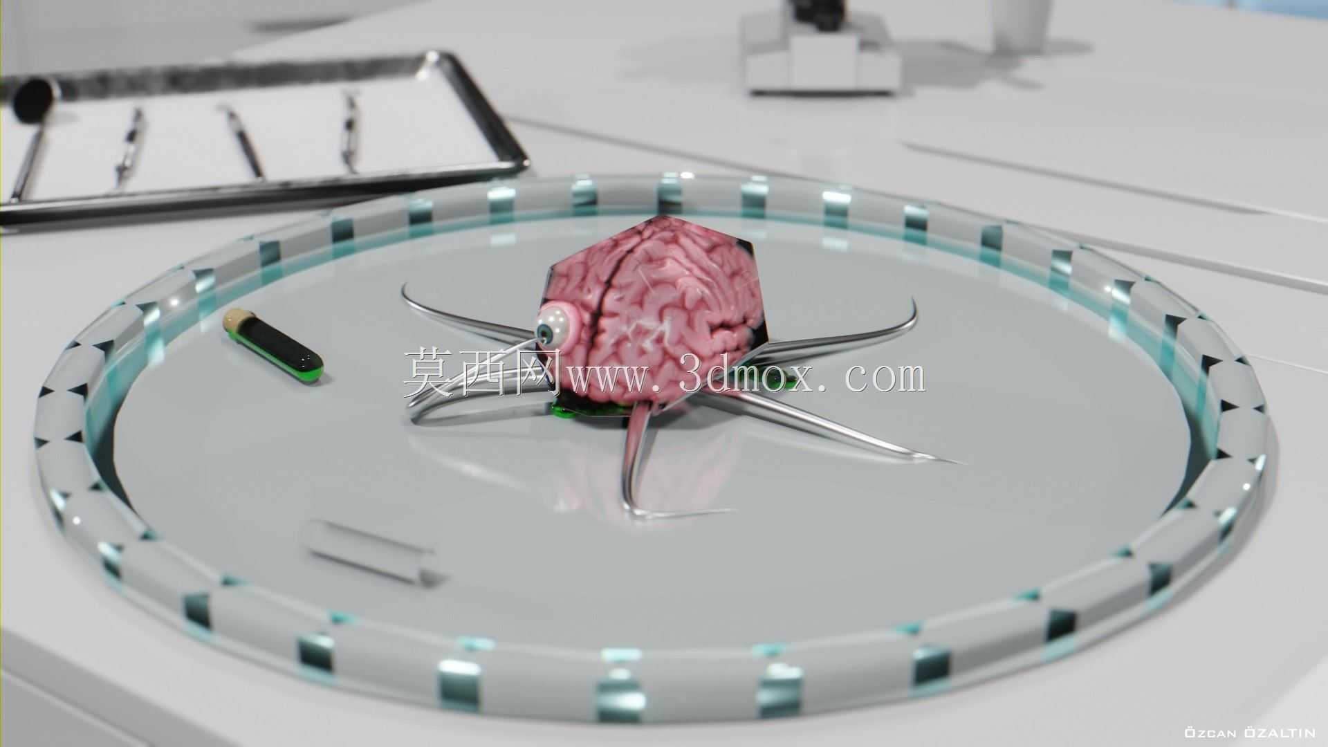 大脑动画 - Beyin Animasyonu 3D