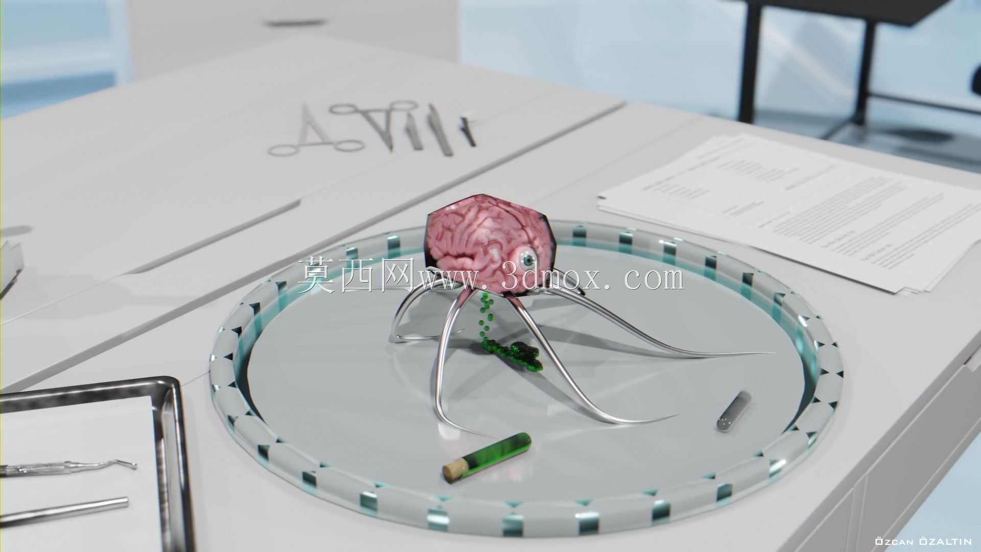 大脑动画 - Beyin Animasyonu 3D