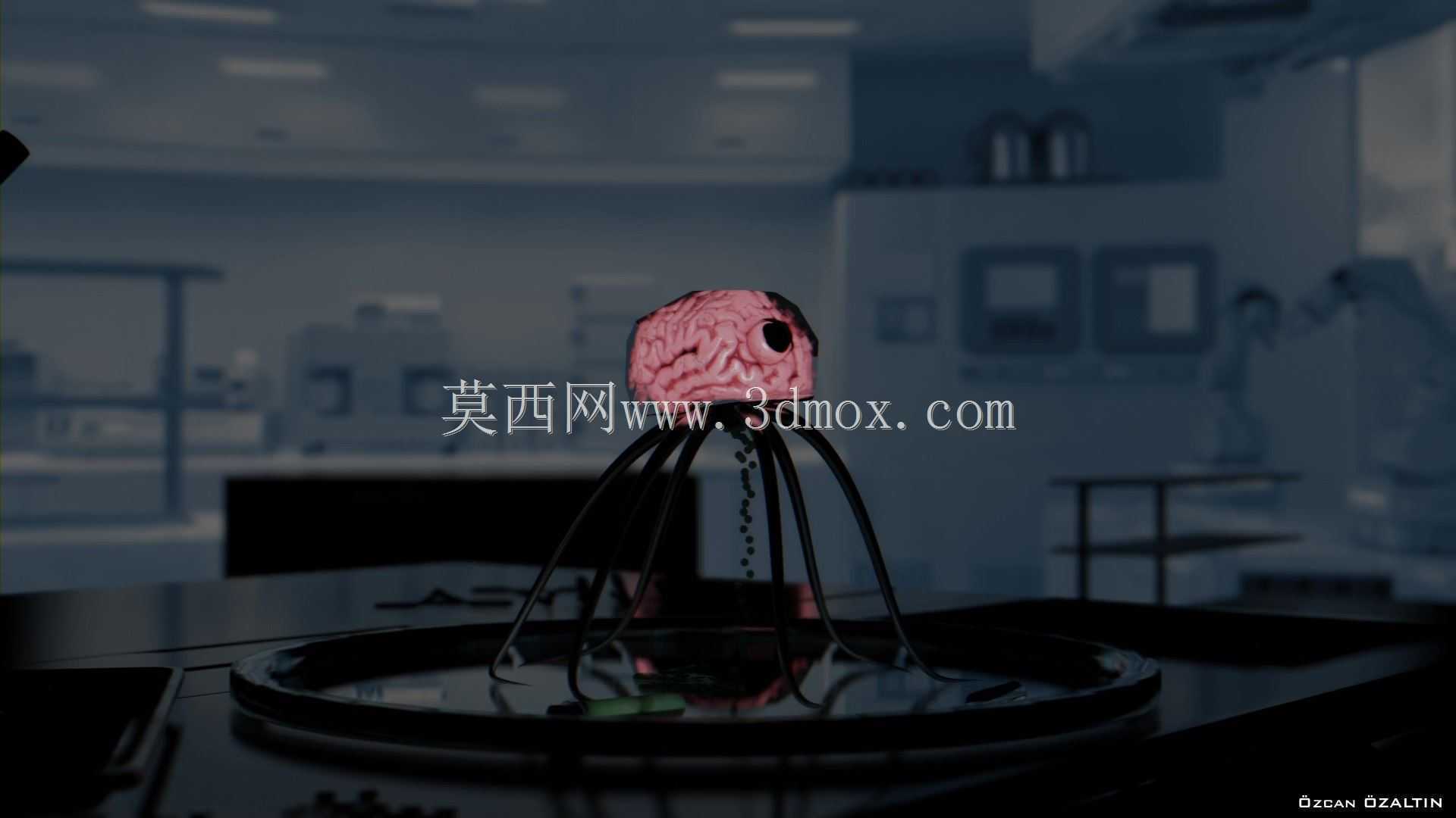 大脑动画 - Beyin Animasyonu 3D