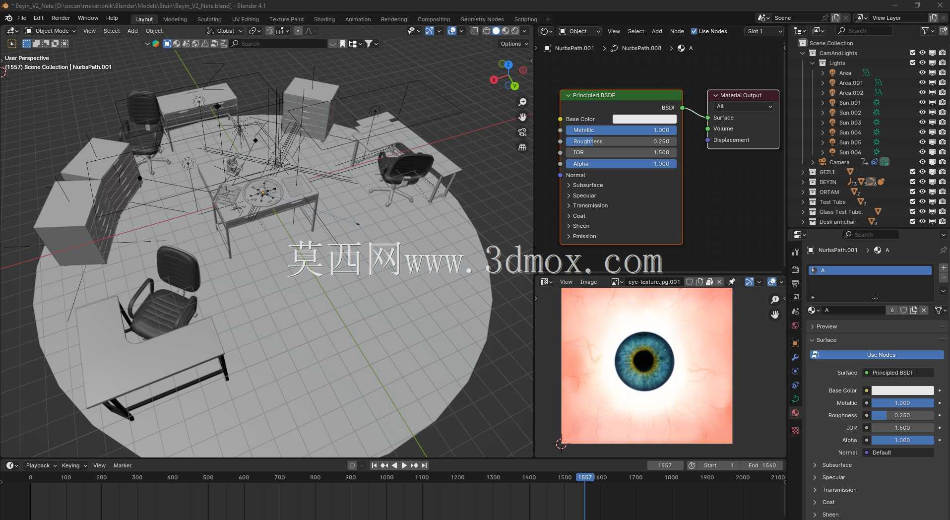 大脑动画 - Beyin Animasyonu 3D