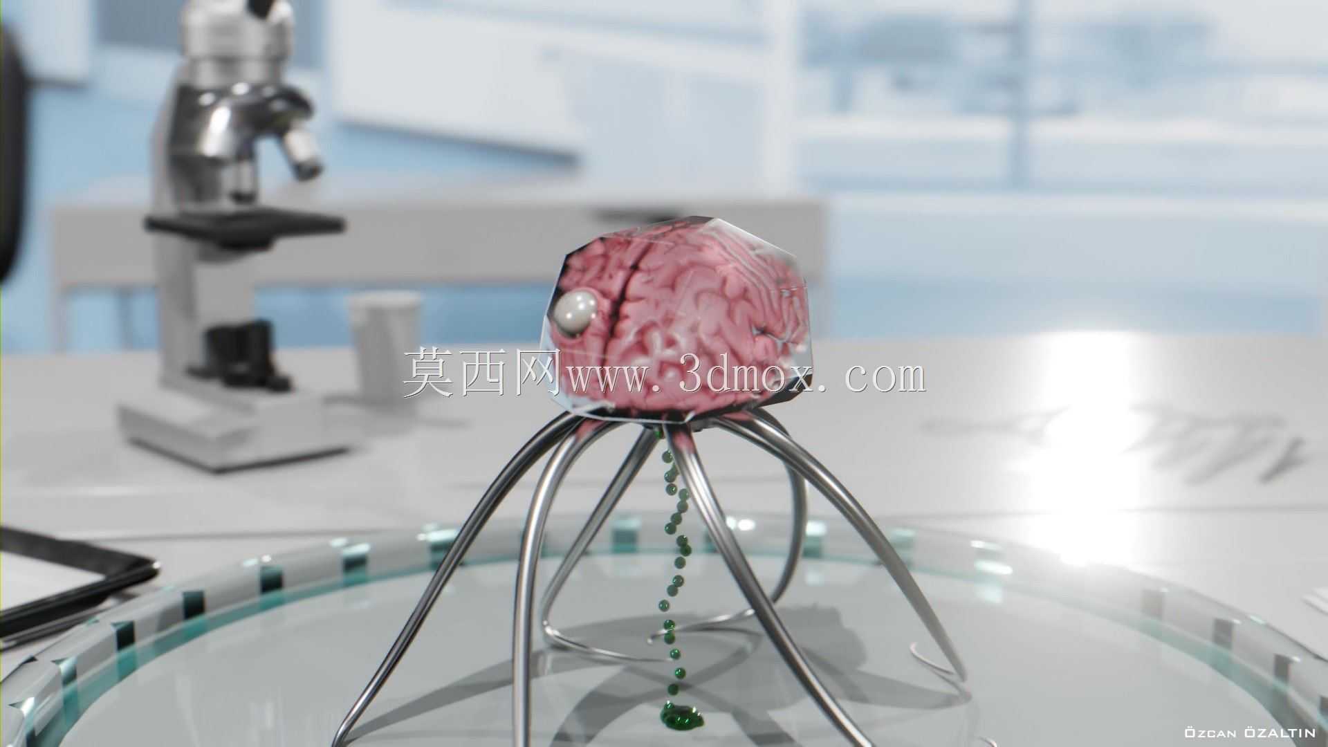 大脑动画 - Beyin Animasyonu 3D