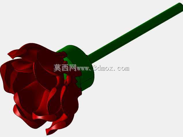 玫瑰