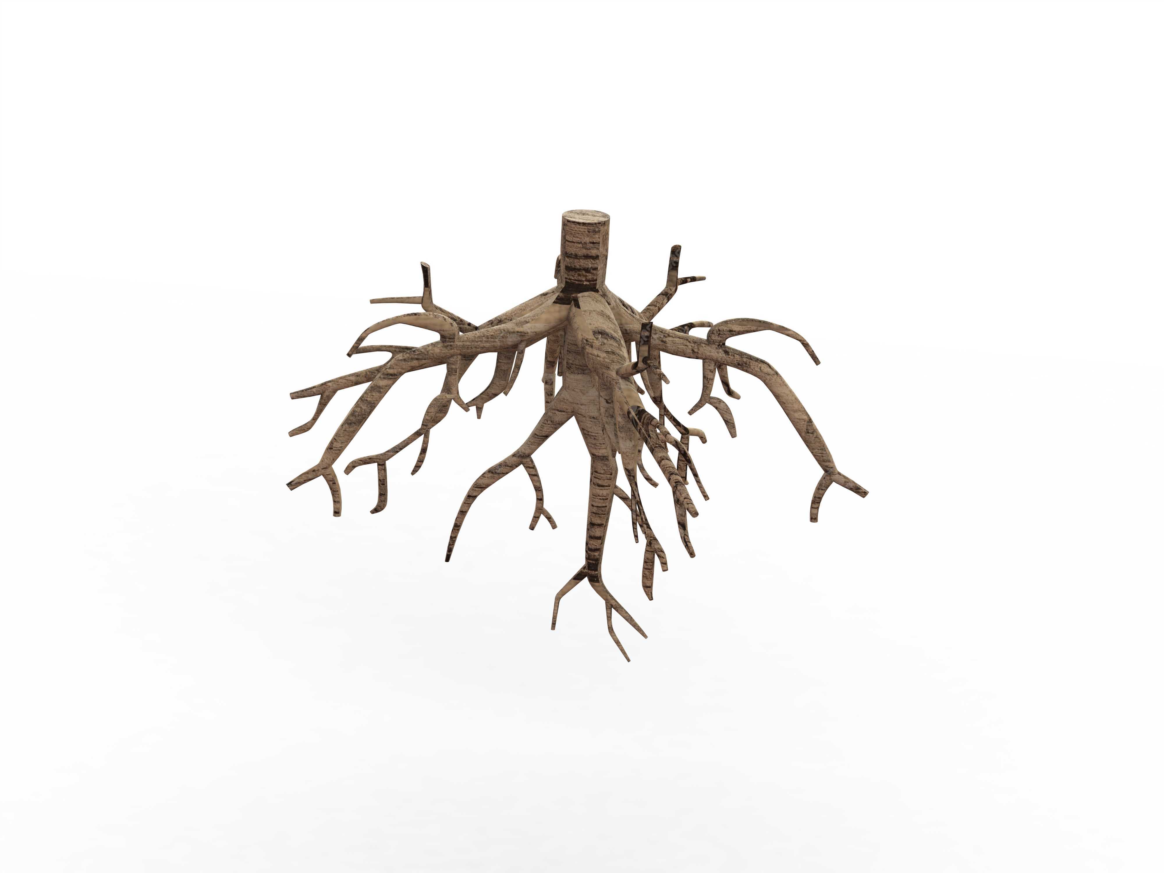 3D����