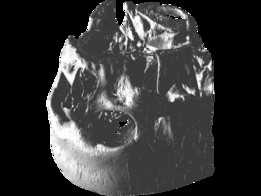 WCBH_Skull_v3