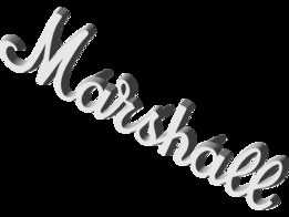 Marshall Amp ���£�6 Ӣ�磩