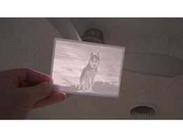 西伯利亚雪橇犬 - Lithophane
