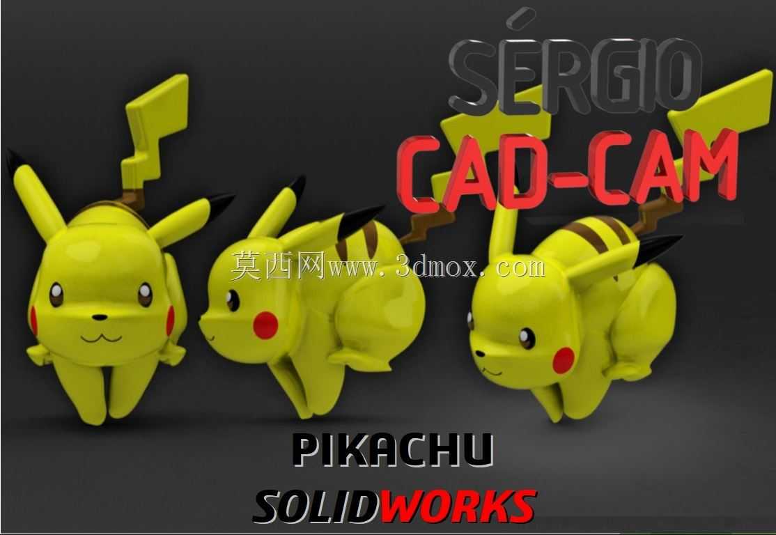 Ƥ���� - S��rgio CAD CAM