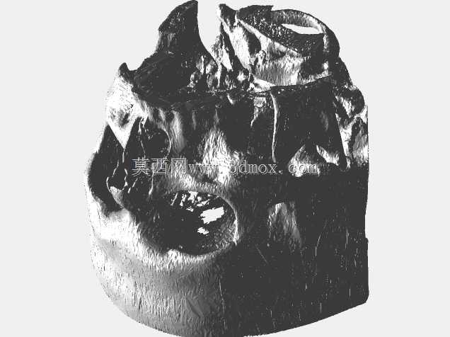 WCBH_Skull_v3